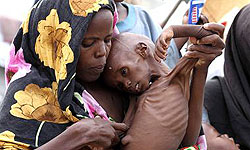 جمع‌آوری خرما در بم برای قحطی‌زدگان سومالی   
